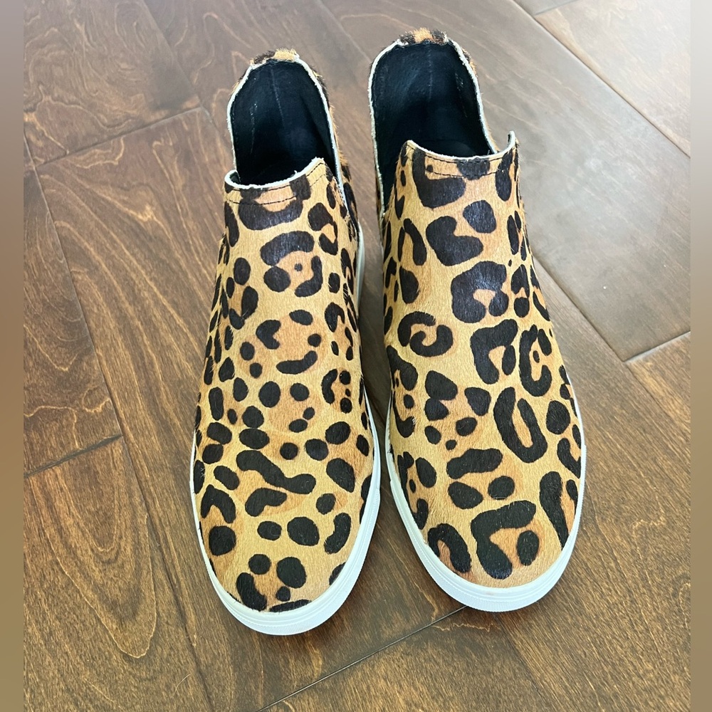 Steve Madden Shoes